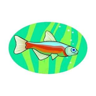 Underwater trout  listed in fish decals.