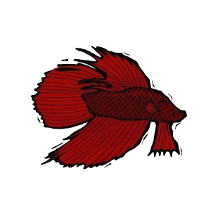 Red siamese fighting fish listed in fish decals.