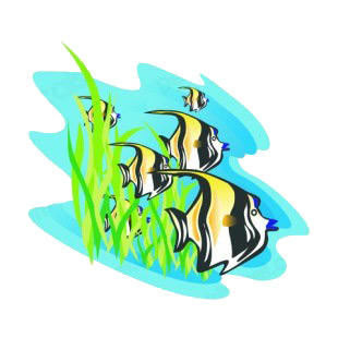Exotic fishes underwater listed in fish decals.