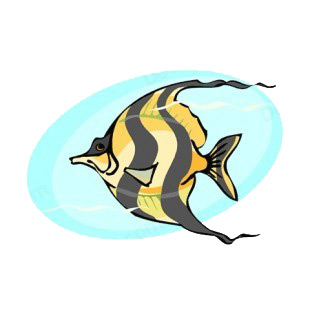 Tiger fish underwater listed in fish decals.