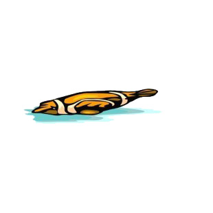 Orange striped seal  listed in fish decals.