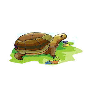 Turle walking on grass listed in fish decals.