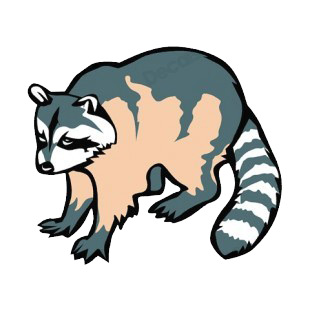 Raccoon listed in rodents decals.