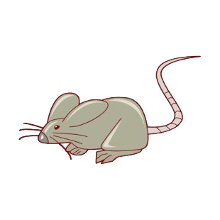 Rat with long tail listed in rodents decals.