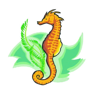 Seahorse with seaweed listed in fish decals.