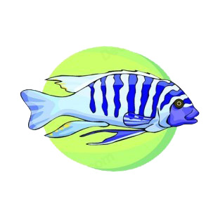Blue stripped fish listed in fish decals.