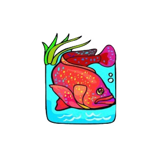 Red comber underwater listed in fish decals.