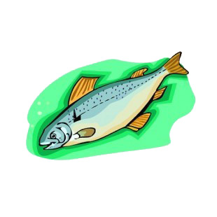 Trout listed in fish decals.