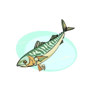 Brown and green herring listed in fish decals.