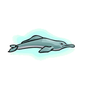 River dolphin underwater listed in fish decals.
