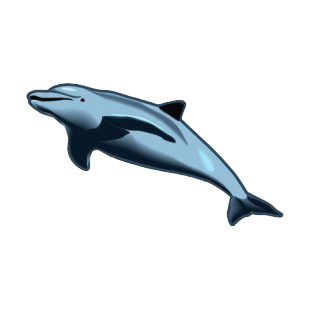 Dolphin listed in fish decals.