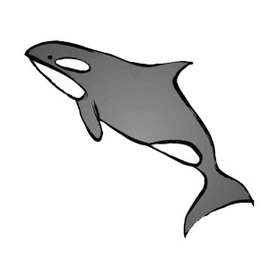 Whale listed in fish decals.