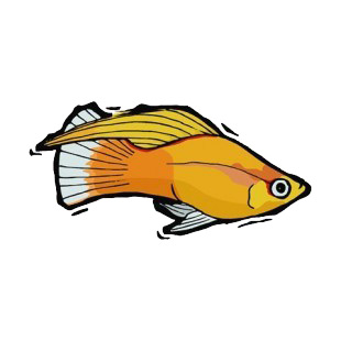 Orange platy listed in fish decals.