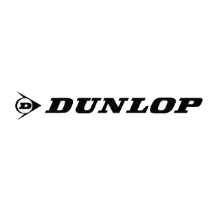 Dunlop logo listed in famous logos decals.