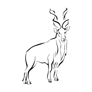 Mountain Gazelle listed in more animals decals.