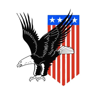 United States Eagle and US pennant listed in symbols and history decals.