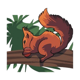 Squirrel eating chestnut  on a branch listed in more animals decals.