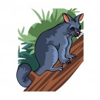 Grey coati standing on a branch, decals stickers