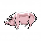 Pig, decals stickers
