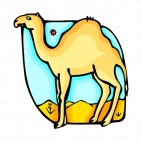 Camel in the desert, decals stickers