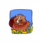 Brown with white stripe guinea pig, decals stickers