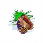 Brown squirrel with pine cone, decals stickers