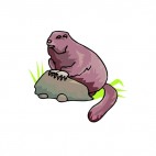 Marmot standing on a rock, decals stickers