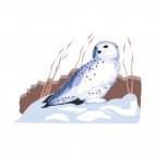 Snowy owl standing on snow, decals stickers