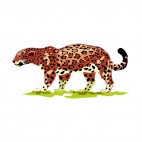 Brown cheetah, decals stickers