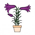 Easter purple lily plant, decals stickers
