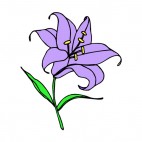 Purple easter lily, decals stickers