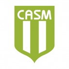 Casm soccer team logo, decals stickers