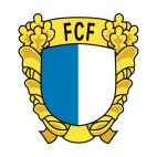 FCF soccer team logo, decals stickers