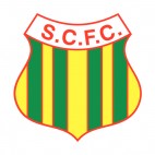 Sampaio soccer team logo, decals stickers