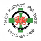 Total Network Solutions FC soccer team logo, decals stickers