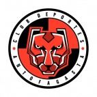 Clud Deportes Antofagasta soccer team logo, decals stickers