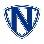 Nyborg soccer team logo, decals stickers