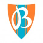 Vityaz soccer team logo, decals stickers