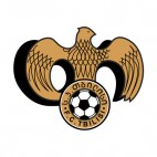  FC Tbilisi soccer team logo, decals stickers