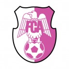 FC Arges Pitesti soccer team logo, decals stickers