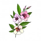 Pink and white flowers with leaves, decals stickers