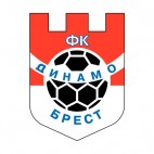 Dinamo Brest soccer team logo, decals stickers