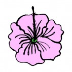 Pink flower close up, decals stickers