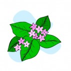 Pink flowers with leaves blue backround, decals stickers