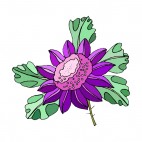 Purple flower with leaves, decals stickers