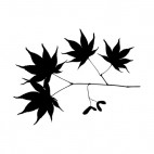 Maple leaves with seed on twig silhouette, decals stickers