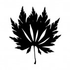 Lobbed toothed leaves silhouette, decals stickers