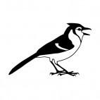 Blue jay with beak open, decals stickers