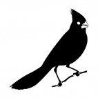 Cardinal on twig, decals stickers