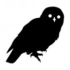 Snowy owl, decals stickers